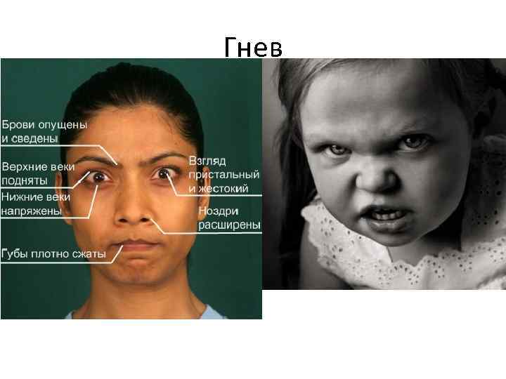 Гнев 