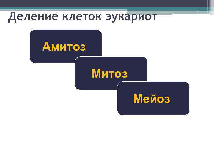 Деление клеток эукариот Амитоз Мейоз 