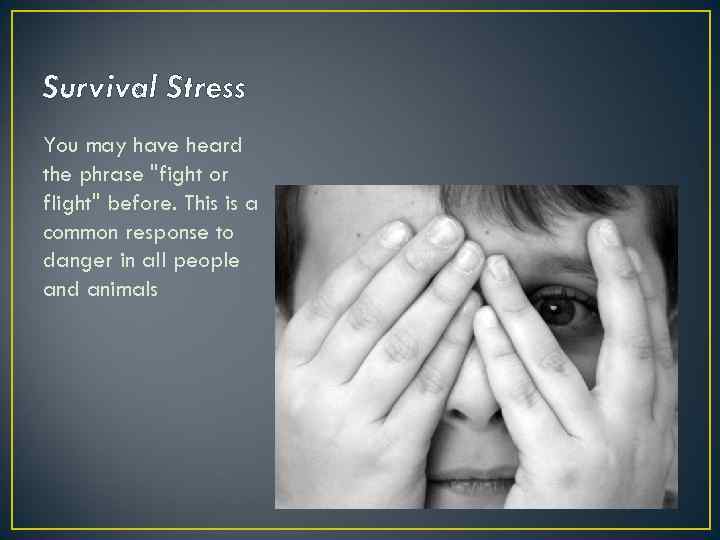 Survival Stress You may have heard the phrase 