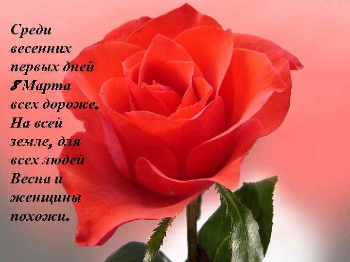 Среди весенних первых дней 8 Марта всех дороже. На всей земле, для всех людей