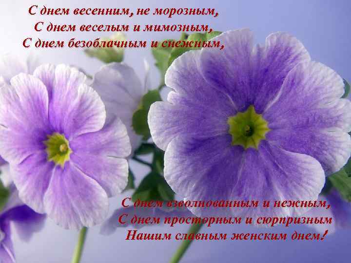 С днем весенним, не морозным, С днем веселым и мимозным, С днем безоблачным и