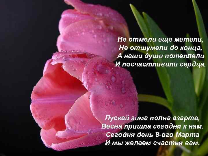 Не отмели еще метели, Не отшумели до конца, А наши души потеплели И посчастливили