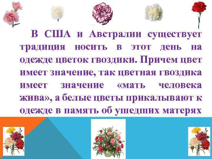 В США и Австралии существует традиция носить в этот день на одежде цветок гвоздики.