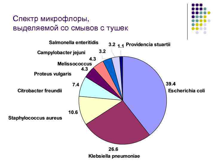 Спектр микрофлоры, выделяемой со смывов с тушек 