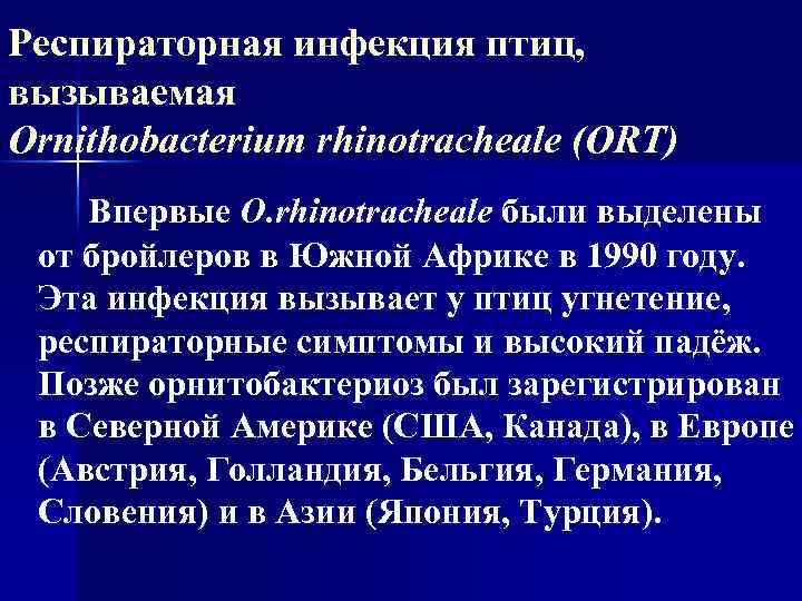 Респираторная инфекция птиц, вызываемая Ornithobacterium rhinotracheale (ORT) Впервые O. rhinotracheale были выделены от бройлеров