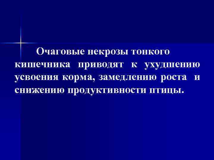 Очаговые некрозы тонкого кишечника приводят к ухудшению усвоения корма, замедлению роста и снижению продуктивности
