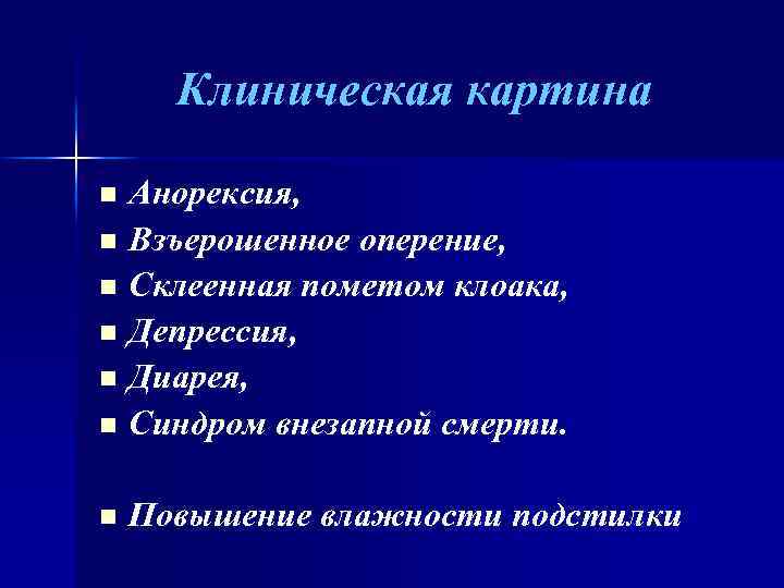 Клиническая картина Анорексия, n Взъерошенное оперение, n Склеенная пометом клоака, n Депрессия, n Диарея,
