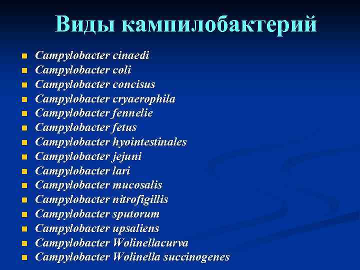 Виды кампилобактерий n n n n Campylobacter cinaedi Campylobacter coli Campylobacter concisus Campylobacter cryaerophila