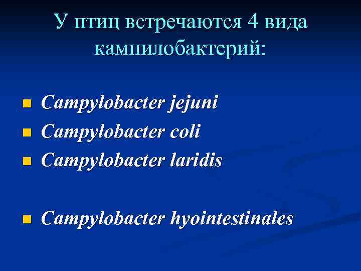 У птиц встречаются 4 вида кампилобактерий: n Campylobacter jejuni Campylobacter coli Campylobacter laridis n