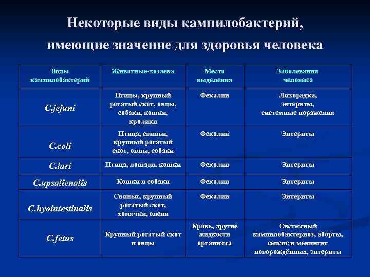 Некоторые виды кампилобактерий, имеющие значение для здоровья человека Виды кампилобактерий Животные-хозяева Место выделения Заболевания