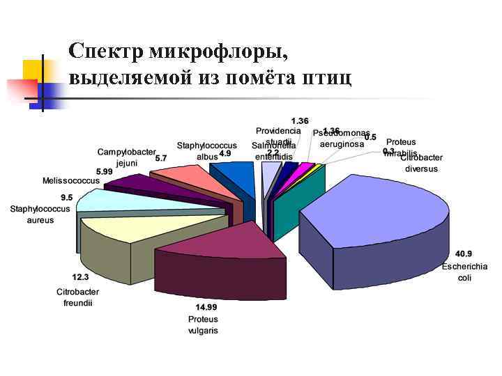 Спектр микрофлоры, выделяемой из помёта птиц 
