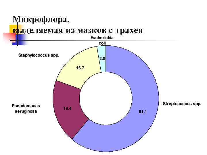 Микрофлора, выделяемая из мазков с трахеи 