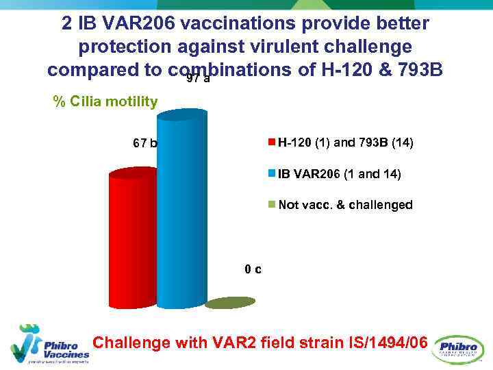 2 IB VAR 206 vaccinations provide better protection against virulent challenge compared to combinations