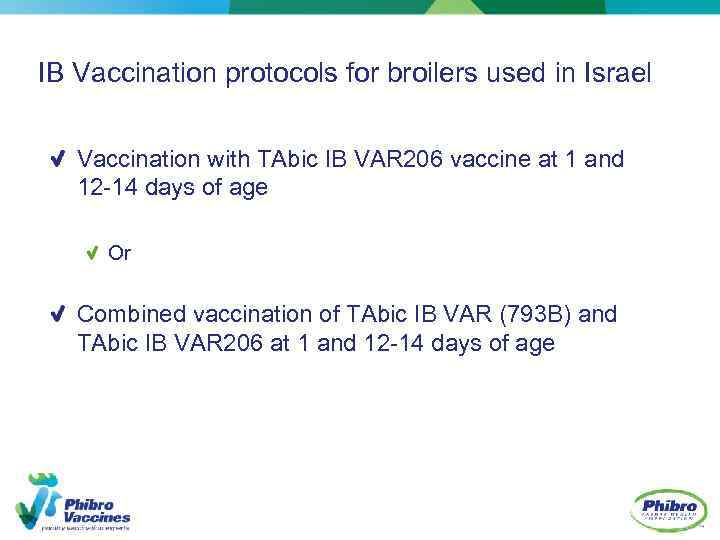 IB Vaccination protocols for broilers used in Israel Vaccination with TAbic IB VAR 206