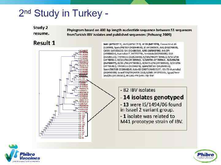2 nd Study in Turkey - 