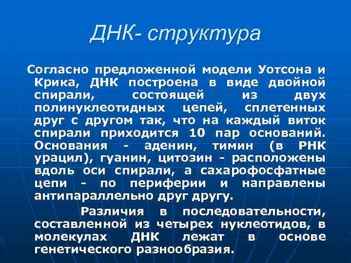 ДНК- структура Согласно предложенной модели Уотсона и Крика, ДНК построена в виде двойной спирали,