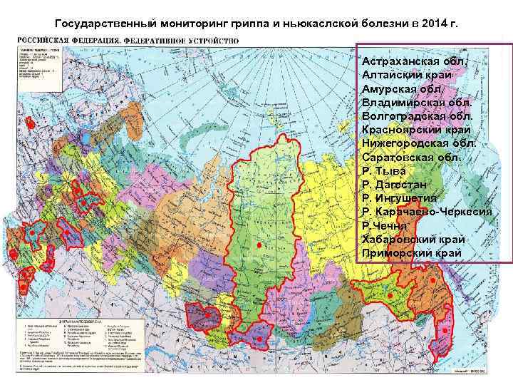 Государственный мониторинг гриппа и ньюкаслской болезни в 2014 г. Астраханская обл. Алтайский край Амурская