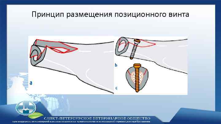 Принцип размещения позиционного винта 