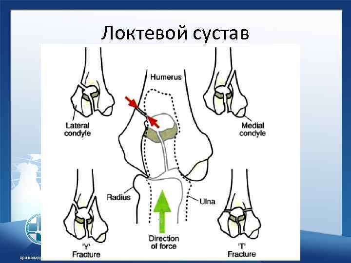 Локтевой сустав 