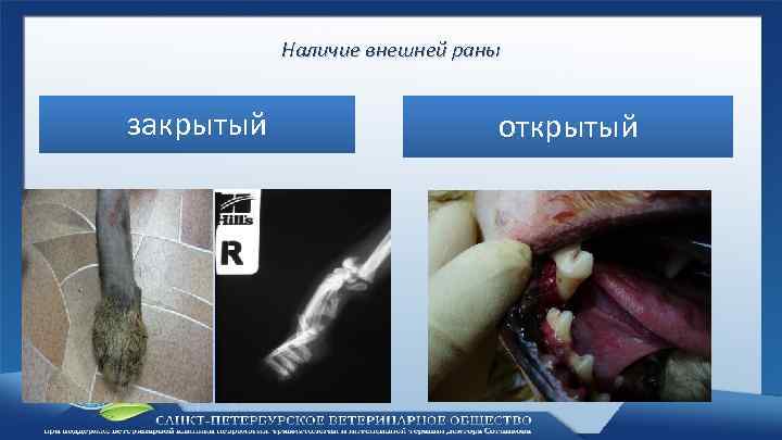 Наличие внешней раны закрытый открытый 