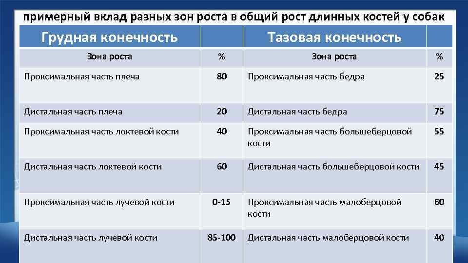 примерный вклад разных зон роста в общий рост длинных костей у собак Грудная конечность