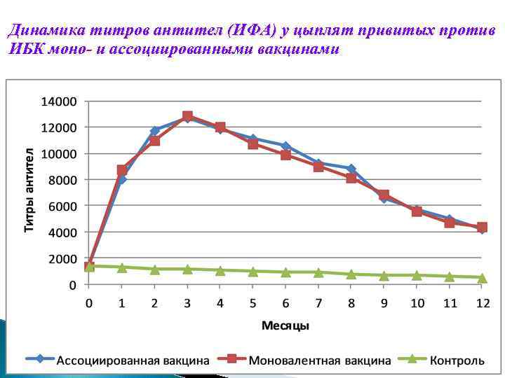 Динамика титров антител (ИФА) у цыплят привитых против ИБК моно- и ассоциированными вакцинами 