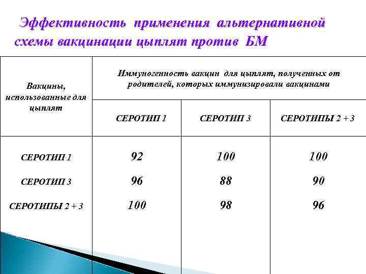 Эффективность применения альтернативной схемы вакцинации цыплят против БМ Вакцины, использованные для цыплят Иммуногенность вакцин