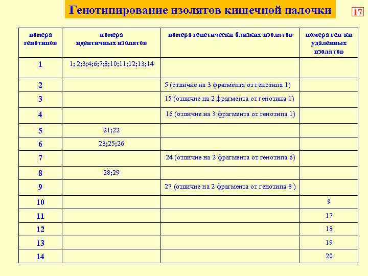 Генотипирование изолятов кишечной палочки номера генотипов номера идентичных изолятов 1 номера генетически близких изолятов