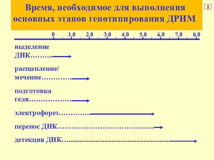 Время, необходимое для выполнения основных этапов генотипирования ДРИМ 0 1. 0 2. 0 3.