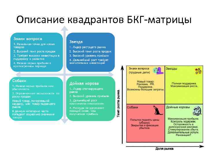 Описание квадрантов БКГ матрицы 