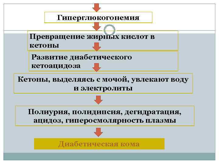 Гиперглюкогонемия Превращение жирных кислот в кетоны Развитие диабетического кетоацидоза Кетоны, выделяясь с мочой, увлекают