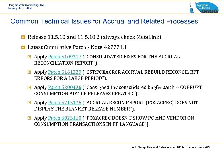 Douglas Volz Consulting, Inc. January 17 th, 2008 Common Technical Issues for Accrual and