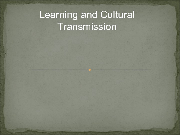 Learning and Cultural Transmission 