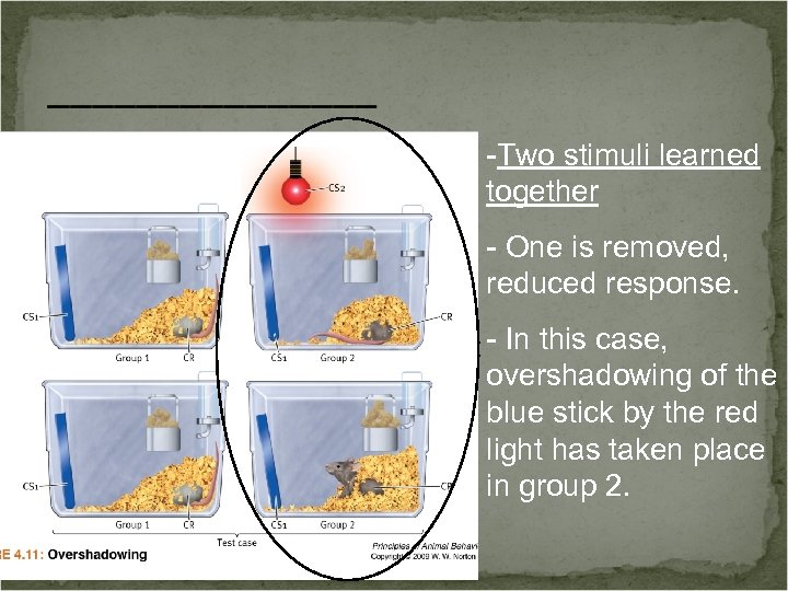 ________ -Two stimuli learned together - One is removed, reduced response. - In this