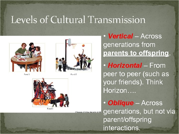 Levels of Cultural Transmission • Vertical – Across generations from parents to offspring. •