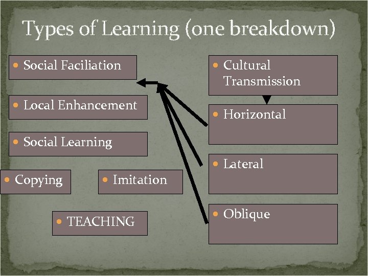 Types of Learning (one breakdown) Social Faciliation Local Enhancement Cultural Transmission Horizontal Social Learning