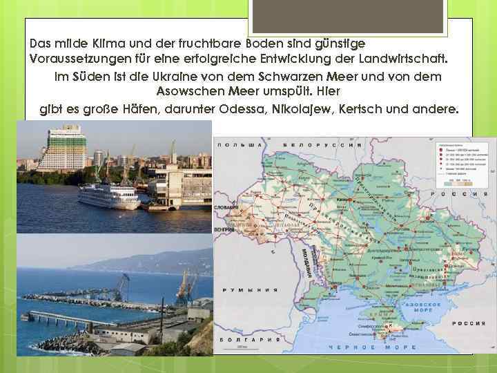 Das milde Klima und der fruchtbare Boden sind günstige Voraussetzungen für eine erfolgreiche Entwicklung