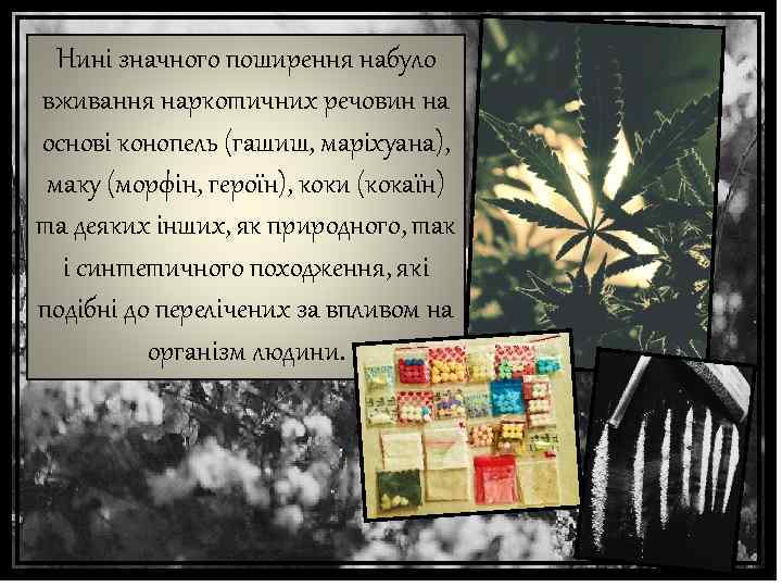 Нині значного поширення набуло вживання наркотичних речовин на основі конопель (гашиш, маріхуана), маку (морфін,