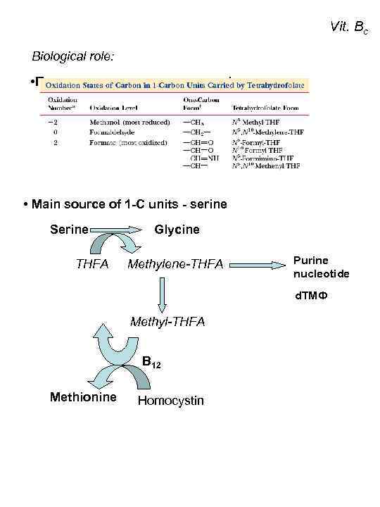 Vit. Bc Biological role: • Переносчик одноуглеродных фрагментов: • Main source of 1 -С