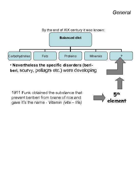 General By the end of XIX century it was known: Balanced diet Carbohydrates Fats