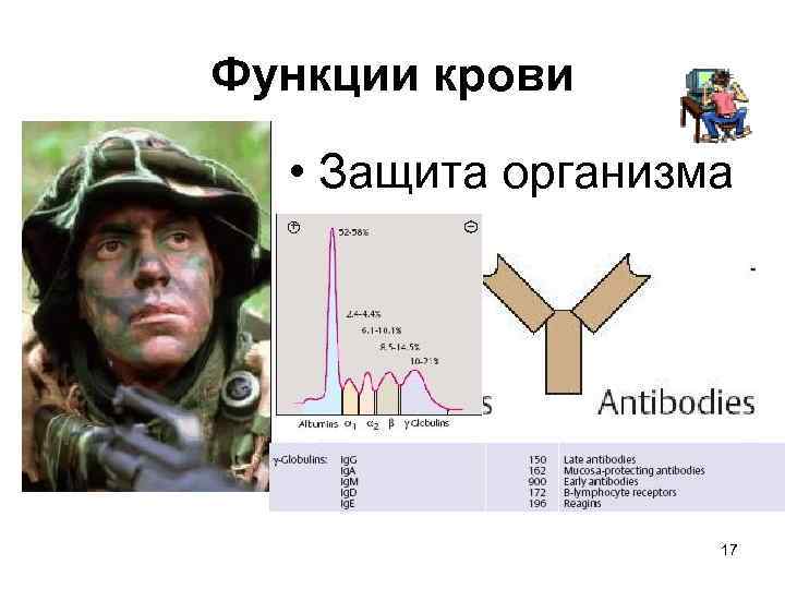 Функции крови • Защита организма 17 