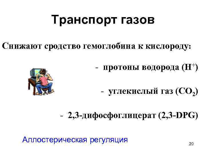 Транспорт газов Снижают сродство гемоглобина к кислороду: - протоны водорода (H+) - углекислый газ