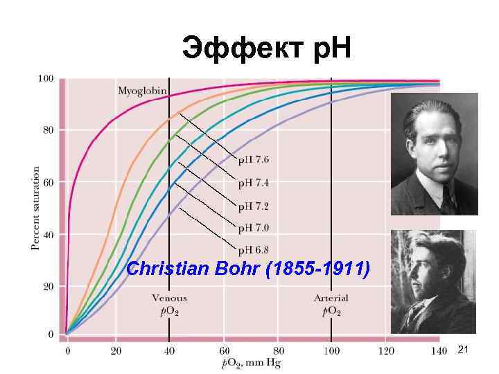 Эффект р. Н Christian Bohr (1855 -1911) 21 