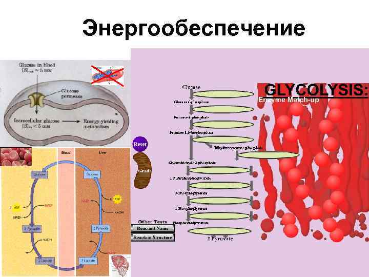 Энергообеспечение 26 