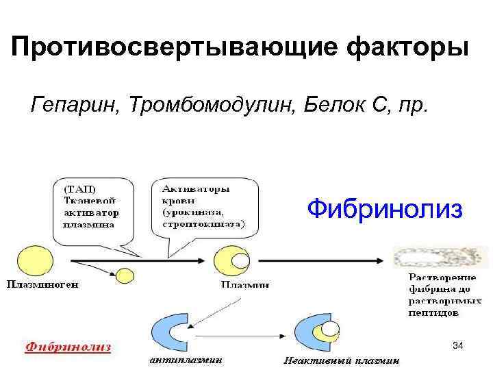 Свертывающая и противосвертывающая система крови презентация