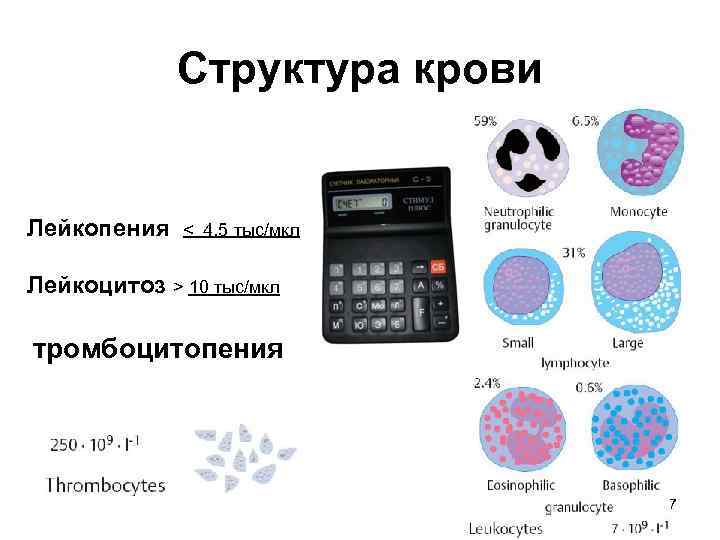 Структура крови Лейкопения < 4, 5 тыс/мкл Лейкоцитоз > 10 тыс/мкл тромбоцитопения 7 