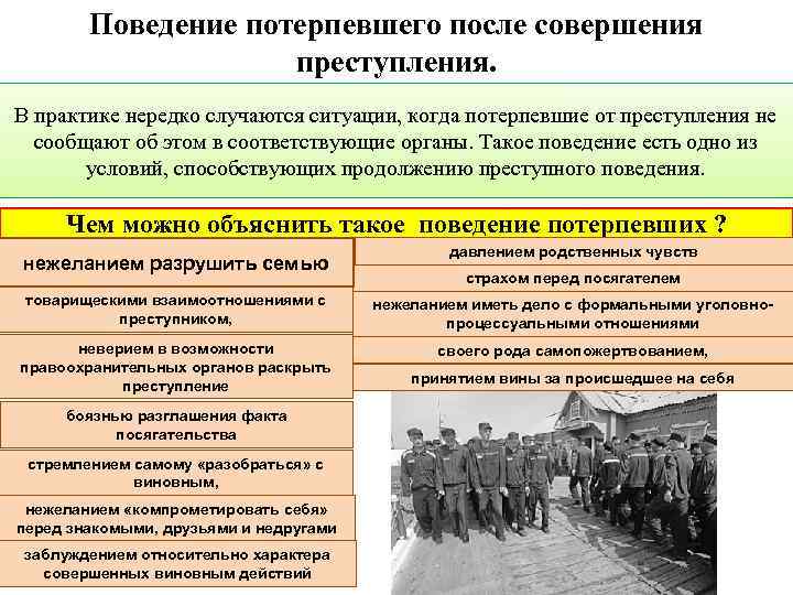 Поведение потерпевшего после совершения преступления. В практике нередко случаются ситуации, когда потерпевшие от преступления