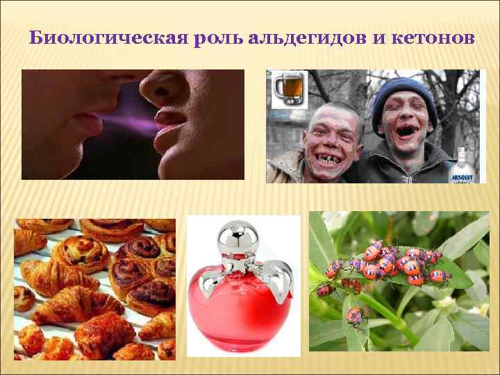 Биологическая роль альдегидов и кетонов 