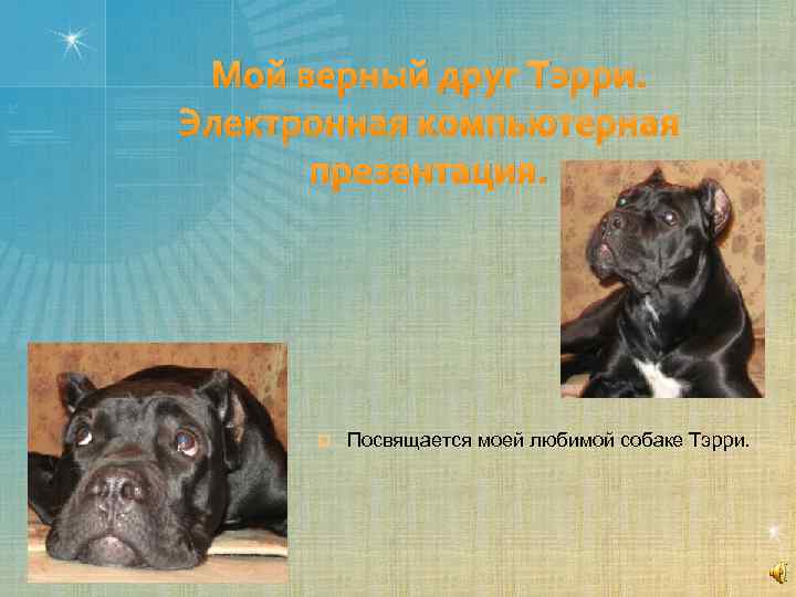 Мой верный друг Тэрри. Электронная компьютерная презентация. ¤ Посвящается моей любимой собаке Тэрри. 