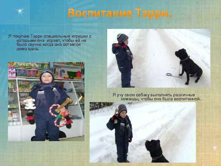 Воспитание Тэрри. Я покупаю Тэрри специальные игрушки с которыми она играет, чтобы ей не